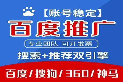 网络推广策略：竞价广告的实践案例